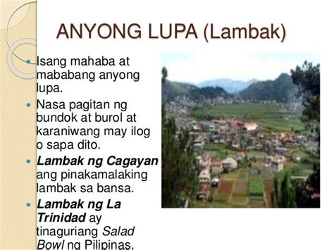 lambak meaning